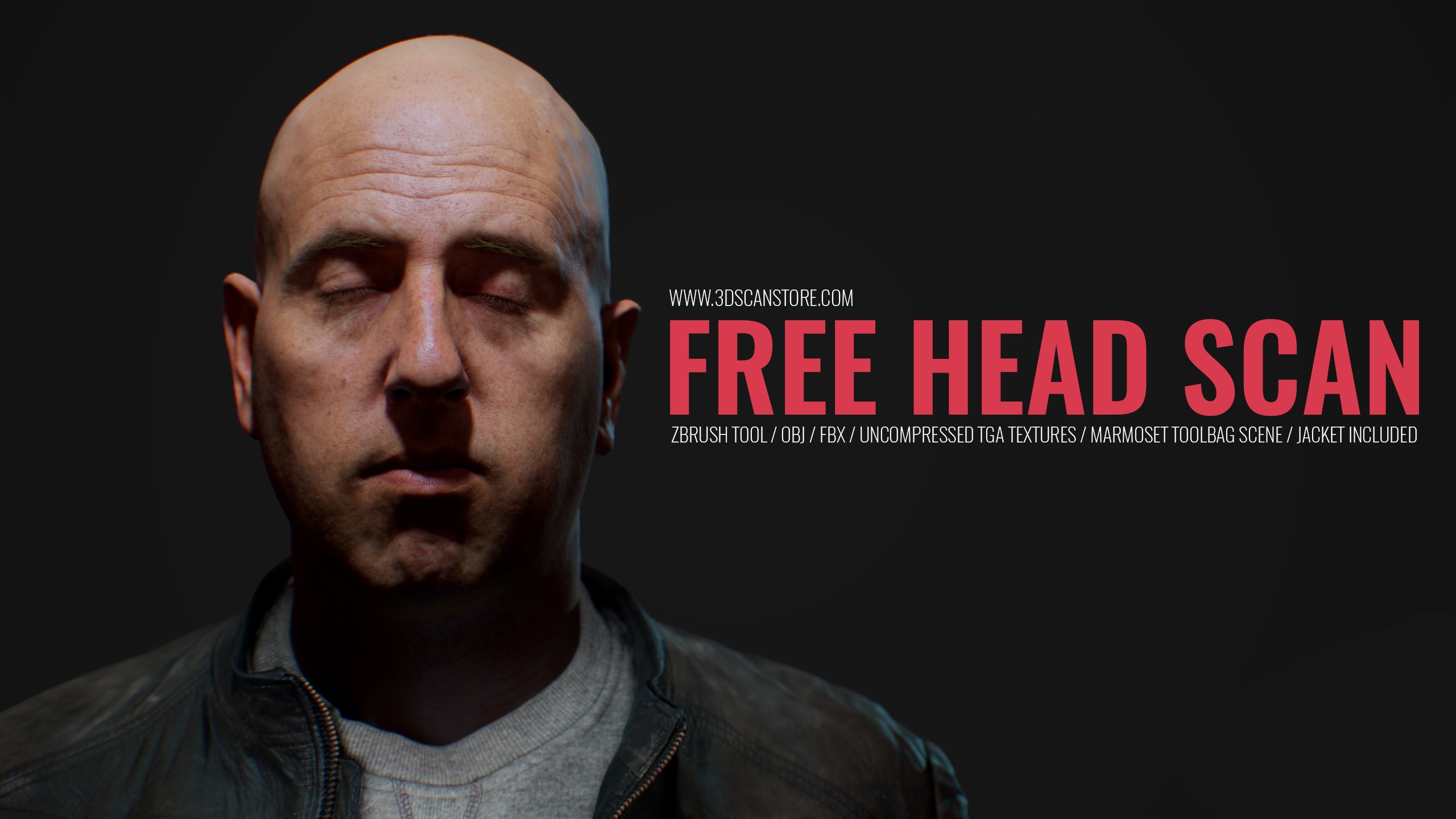 Free 3D Head Model